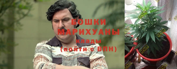 Альфа ПВП Богородск