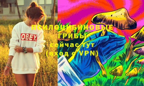 Альфа ПВП Богородск