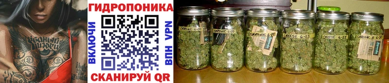 Бошки Шишки индика  гидра ссылка  Козловка 